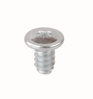 Vrácení Zdarma BBP vrut 6,3 x 19mm pro plastové zásuvky