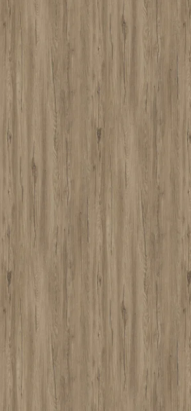 TL K544 Stříbrný dub Hazel 4,2 m Časově Omezené