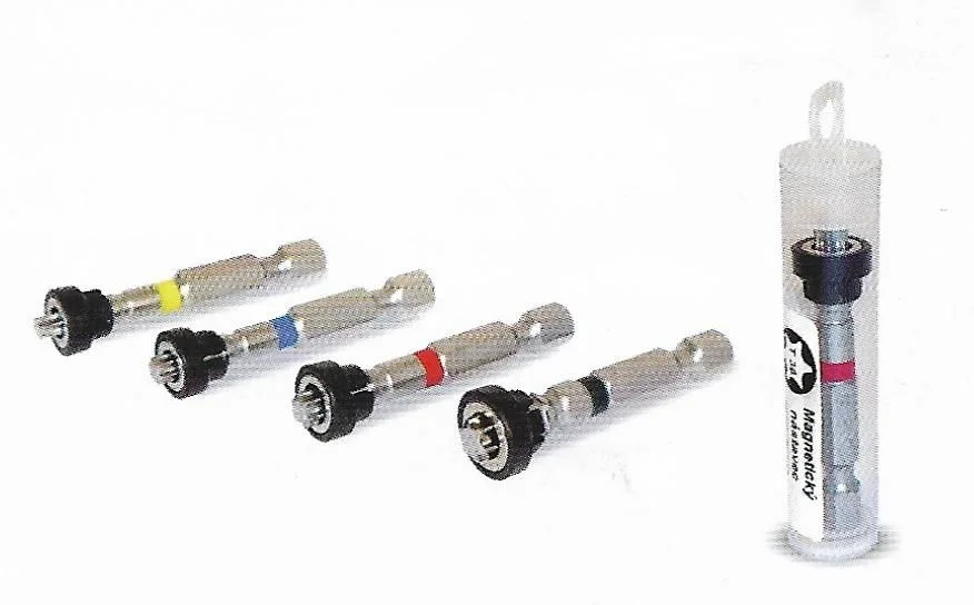 Nejlepší Cena Magnetický držák s hrotem TX 15 v tubě - RAPI-TEC