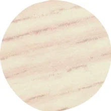 Novinka IF Krytka nalepovací 13mm 20ks 4819 světlý dub bílý