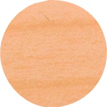 IF Krytka nalepovací 20mm 15ks 168 jasan Omezená Nabídka