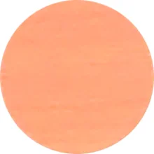 Koupit Online IF Krytka nalepovací 20mm 15ks 727 javor klen