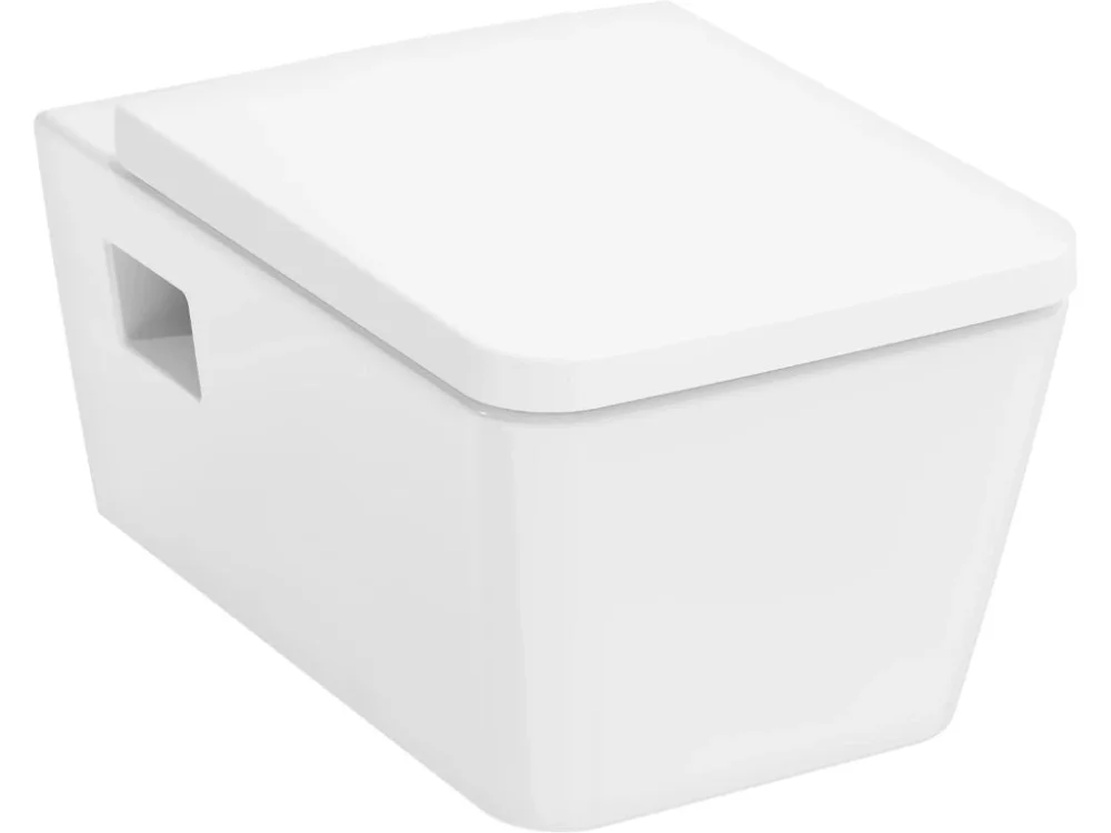 Hansgrohe WC s prkénkem softclose závěsné Hansgrohe EluPura Original Q zadní odpad 61182450 Nejlepší Volba