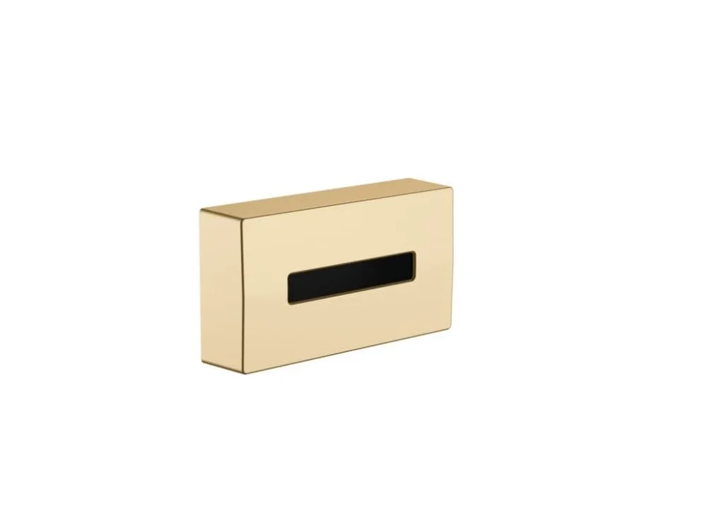 Must-Have Hansgrohe Zásobník na hygienické sáčky Hansgrohe AddStoris kartáčovaný bronz 41774140